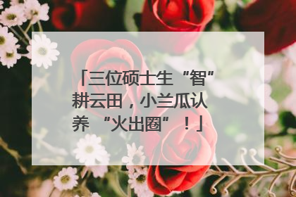 三位硕士生“智” 耕云田，小兰瓜认养 “火出圈”！