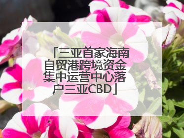三亚首家海南自贸港跨境资金集中运营中心落户三亚CBD