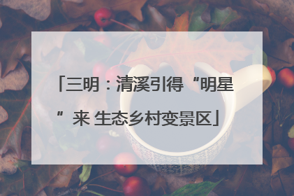三明：清溪引得“明星”来 生态乡村变景区