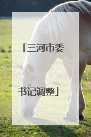 三河市委书记调整