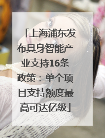 上海浦东发布具身智能产业支持16条政策：单个项目支持额度最高可达亿级