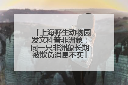 上海野生动物园发文科普非洲象：同一只非洲象长期被欺负消息不实