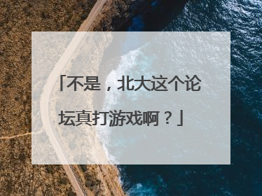 不是，北大这个论坛真打游戏啊？