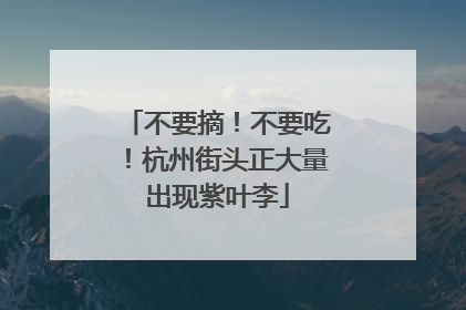 不要摘！不要吃！杭州街头正大量出现紫叶李