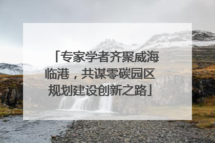 专家学者齐聚威海临港，共谋零碳园区规划建设创新之路
