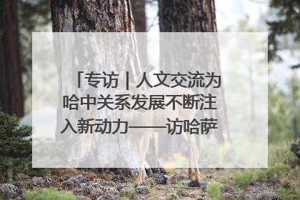 专访｜人文交流为哈中关系发展不断注入新动力——访哈萨克斯坦文化与信息部部长巴拉耶娃