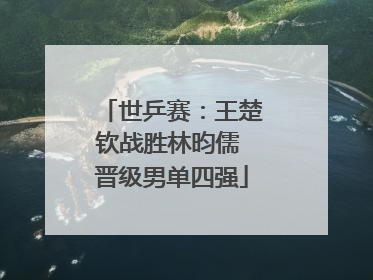 世乒赛：王楚钦战胜林昀儒 晋级男单四强
