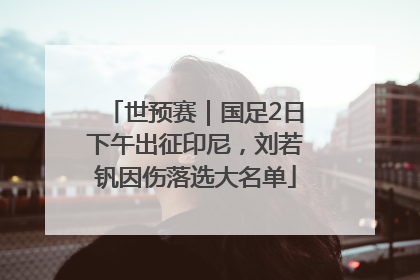 世预赛｜国足2日下午出征印尼，刘若钒因伤落选大名单