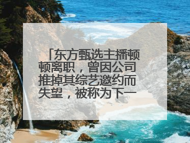 东方甄选主播顿顿离职，曾因公司推掉其综艺邀约而失望，被称为下一个董宇辉