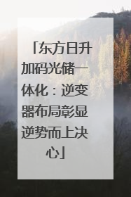 东方日升加码光储一体化：逆变器布局彰显逆势而上决心