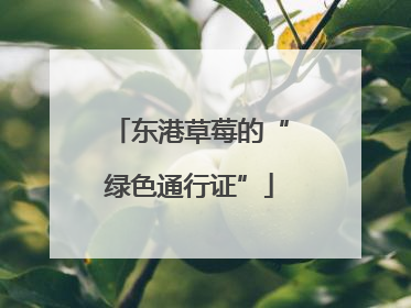 东港草莓的“绿色通行证”