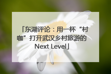 东湖评论：用一杯“村咖”打开武汉乡村旅游的Next Level