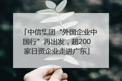中信集团“外国企业中国行”再出发，超200家日资企业走进广东