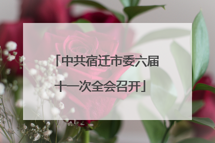 中共宿迁市委六届十一次全会召开