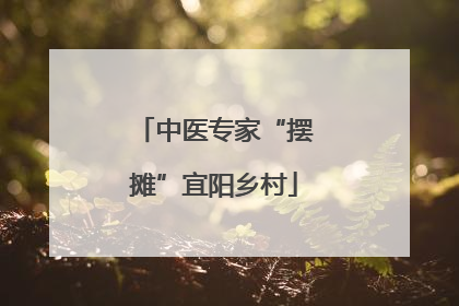 中医专家“摆摊”宜阳乡村