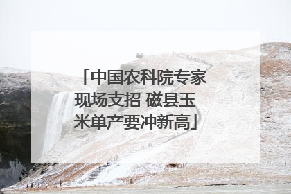 中国农科院专家现场支招 磁县玉米单产要冲新高