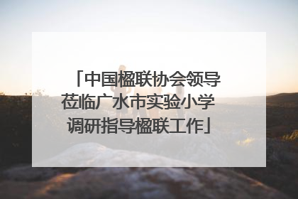 中国楹联协会领导莅临广水市实验小学调研指导楹联工作