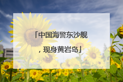 中国海警东沙舰，现身黄岩岛