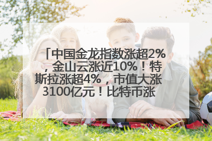 中国金龙指数涨超2%，金山云涨近10%！特斯拉涨超4%，市值大涨3100亿元！比特币涨回11万美元关口