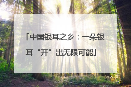 中国银耳之乡：一朵银耳“开”出无限可能