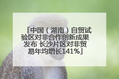 中国（湖南）自贸试验区对非合作创新成果发布 长沙片区对非贸易年均增长141%