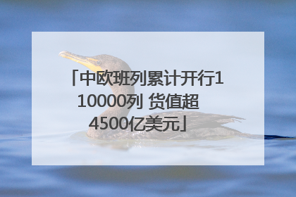 中欧班列累计开行110000列 货值超4500亿美元
