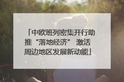 中欧班列密集开行助推“落地经济” 激活周边地区发展新动能