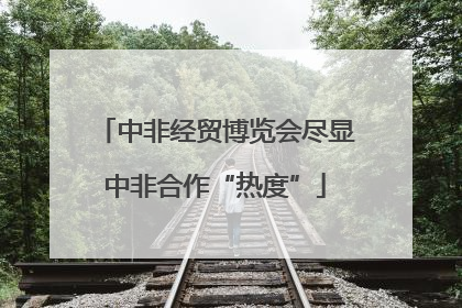 中非经贸博览会尽显中非合作“热度”