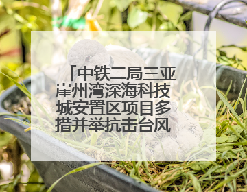 中铁二局三亚崖州湾深海科技城安置区项目多措并举抗击台风“蝴蝶”