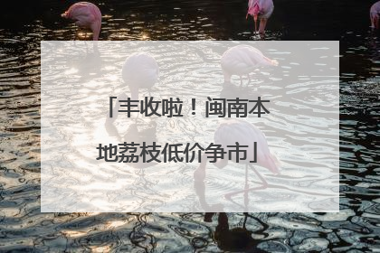 丰收啦！闽南本地荔枝低价争市
