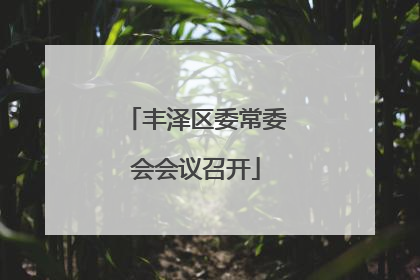 丰泽区委常委会会议召开