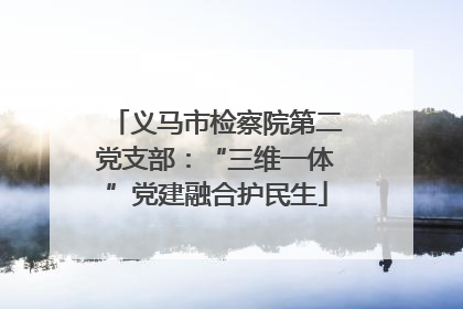 义马市检察院第二党支部：“三维一体”党建融合护民生