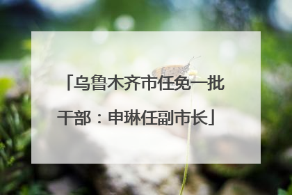 乌鲁木齐市任免一批干部：申琳任副市长