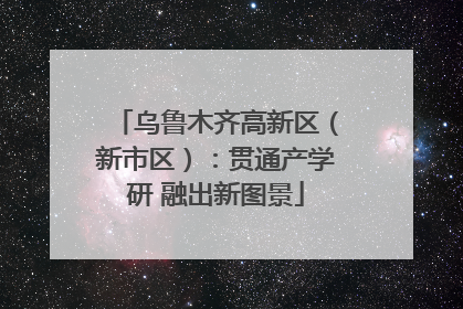 乌鲁木齐高新区（新市区）：贯通产学研 融出新图景
