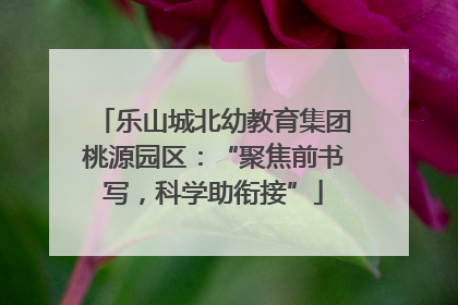 乐山城北幼教育集团桃源园区：“聚焦前书写，科学助衔接”