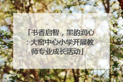 书香启智，墨韵润心：大窑中心小学开展教师专业成长活动