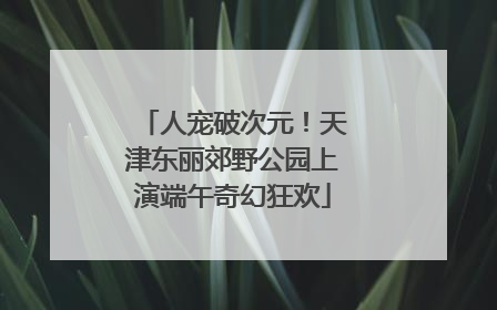 人宠破次元！天津东丽郊野公园上演端午奇幻狂欢