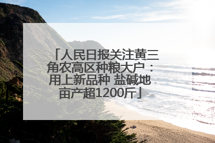人民日报关注黄三角农高区种粮大户：用上新品种 盐碱地亩产超1200斤