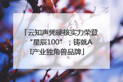 云知声凭硬核实力荣登“星辰100”，铸就AI产业独角兽品牌