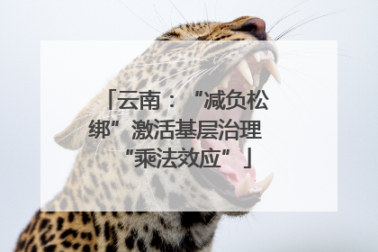 云南：“减负松绑”激活基层治理“乘法效应”