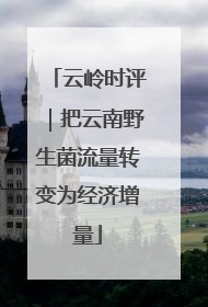 云岭时评｜把云南野生菌流量转变为经济增量