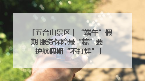 五台山景区｜“端午”假期 服务保障最“粽”要 护航假期“不打烊”
