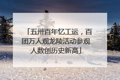 五卅百年忆工运，百团万人观龙陵活动参观人数创历史新高