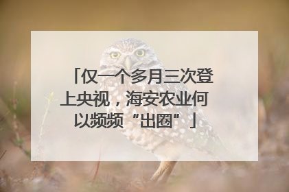 仅一个多月三次登上央视，海安农业何以频频“出圈”