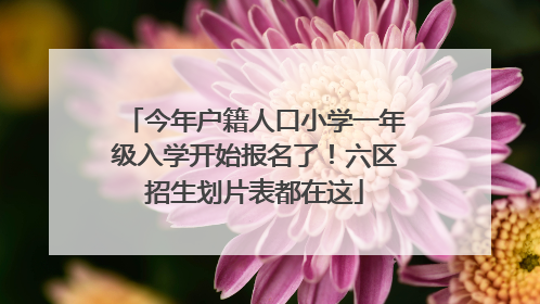 今年户籍人口小学一年级入学开始报名了！六区招生划片表都在这