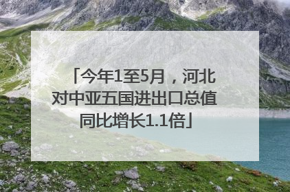 今年1至5月，河北对中亚五国进出口总值同比增长1.1倍