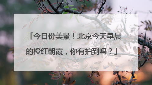 今日份美景！北京今天早晨的橙红朝霞，你有拍到吗？