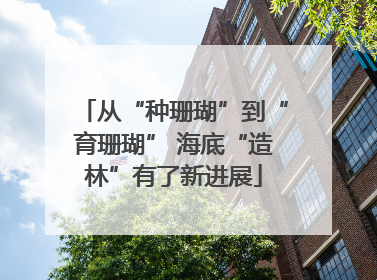 从“种珊瑚”到“育珊瑚” 海底“造林”有了新进展