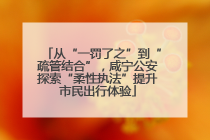 从“一罚了之”到“疏管结合”，咸宁公安探索“柔性执法”提升市民出行体验