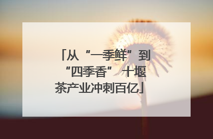 从“一季鲜”到“四季香” 十堰茶产业冲刺百亿